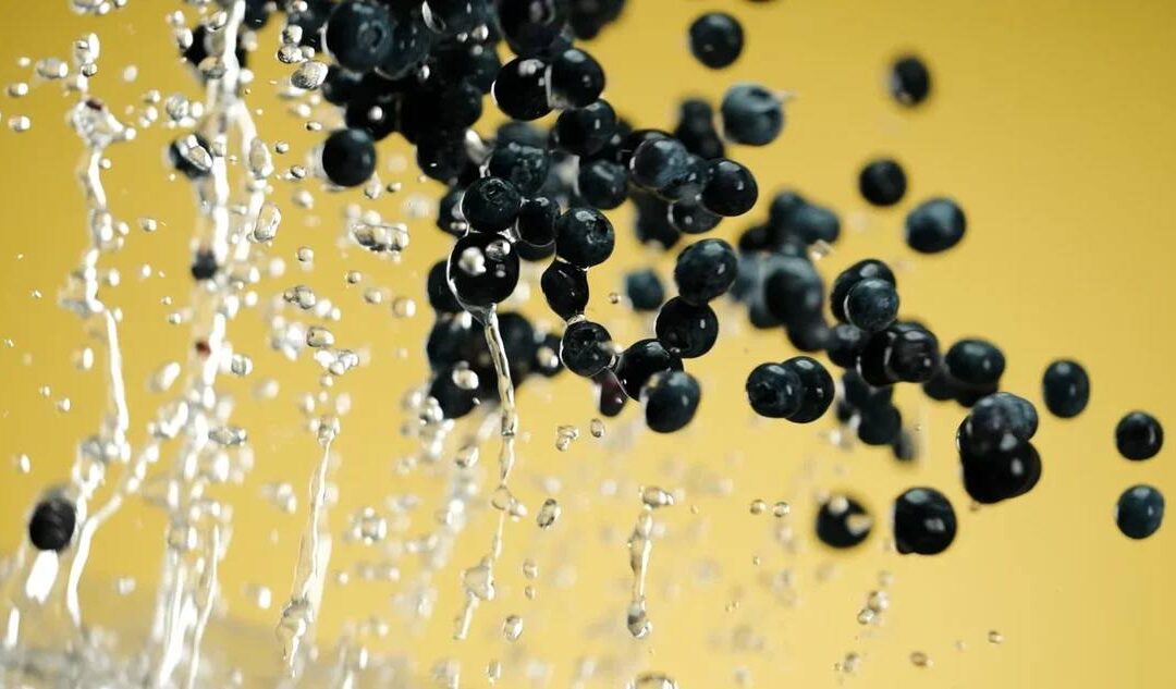 Actualité 4 Proin bibendum purus ipsum