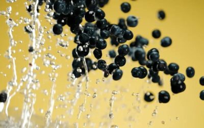 Actualité 3 Fusce ut ex sed risus tempor imperdiet